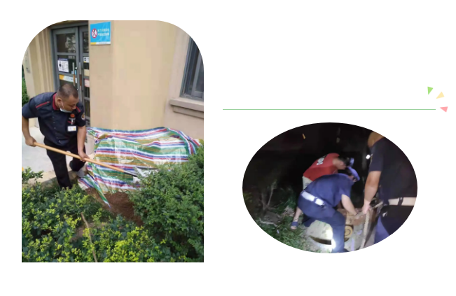 1631839568(1).png 1631839568(1).png